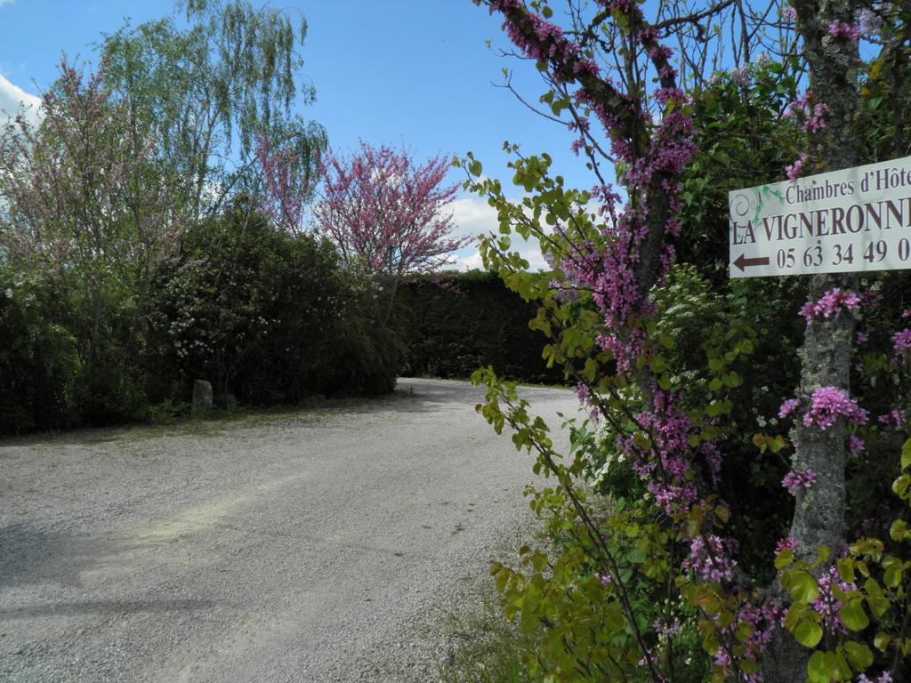 Chambres D'Hotes La Vigneronne Senouillac Exterior photo